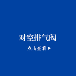  对空排气阀